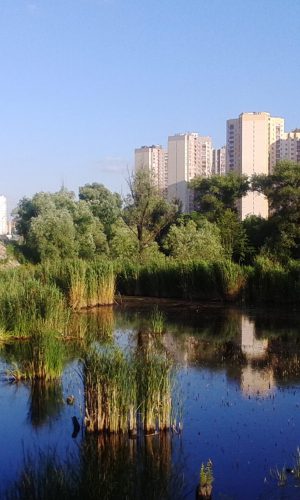 Озеро_Качине_11.06.2015_1