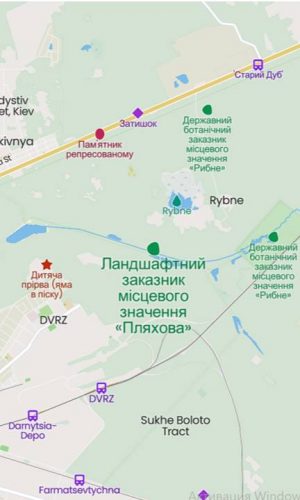 Пляхова