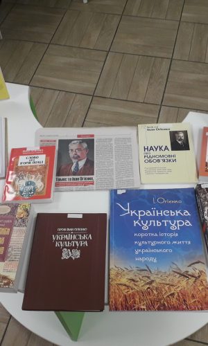 ogienko (10)