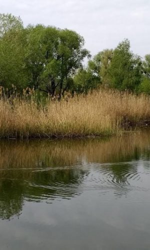 ozero-prirva-5